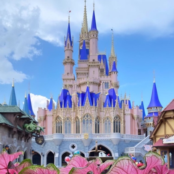 Meet your Posher, Ashley - Picture 2 of 2